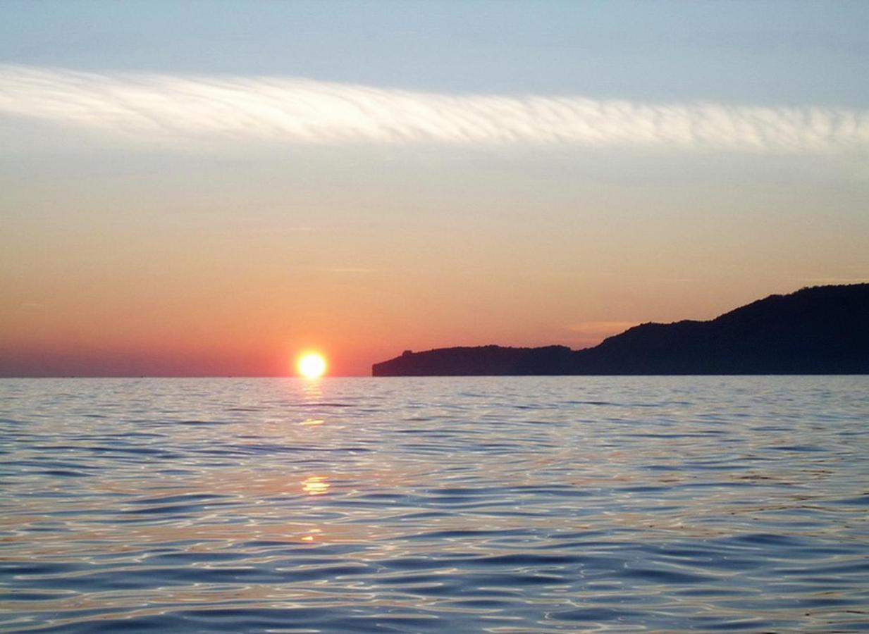Ivanovic Budva