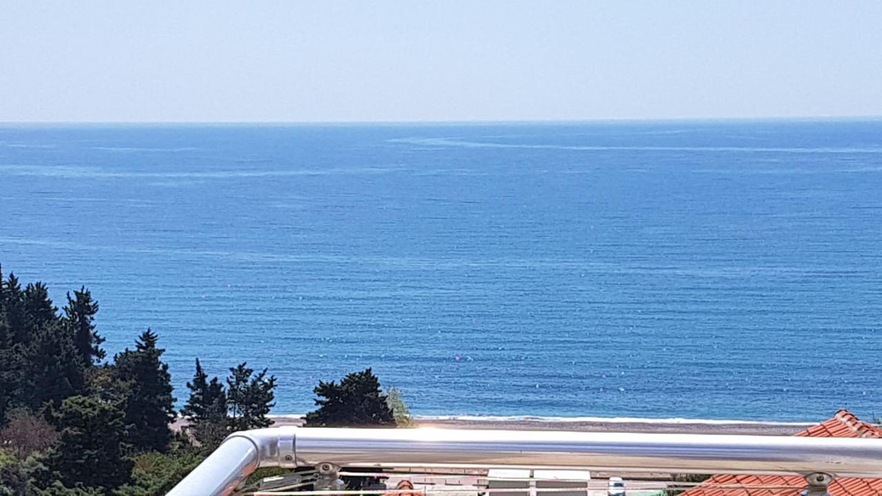 Apartment Ivanovic