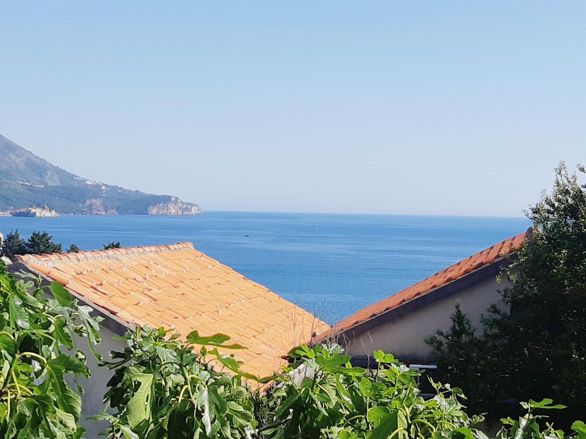 Ivanovic Apartment Budva